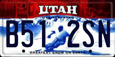 UT license plate B512SN