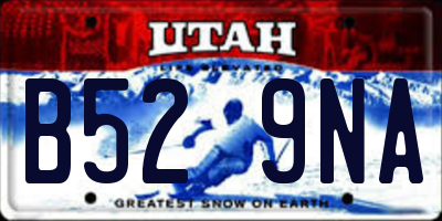 UT license plate B529NA