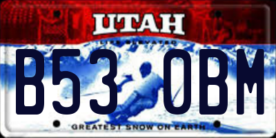 UT license plate B530BM