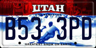 UT license plate B533PD