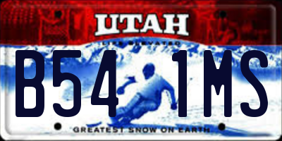 UT license plate B541MS