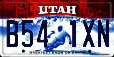 UT license plate B541XN