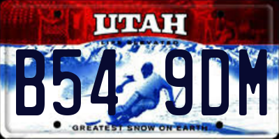 UT license plate B549DM