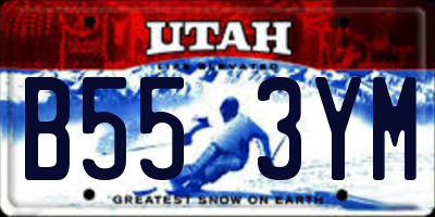 UT license plate B553YM