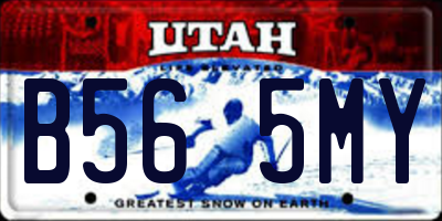 UT license plate B565MY