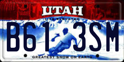 UT license plate B613SM