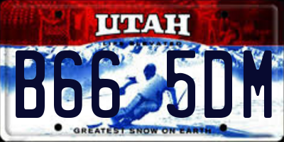 UT license plate B665DM
