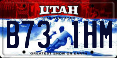 UT license plate B731HM
