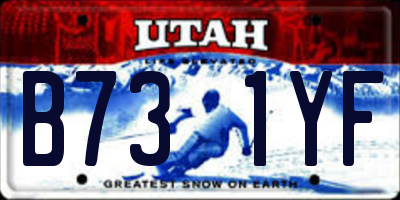 UT license plate B731YF