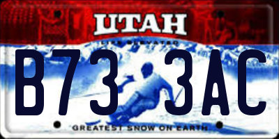 UT license plate B733AC