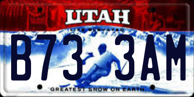 UT license plate B733AM
