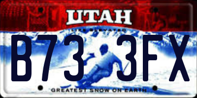 UT license plate B733FX