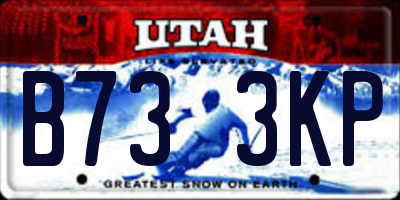 UT license plate B733KP