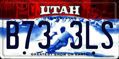 UT license plate B733LS