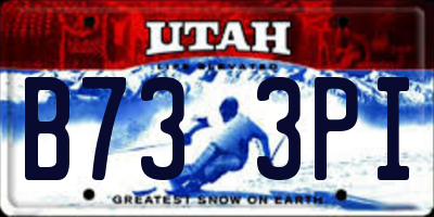 UT license plate B733PI