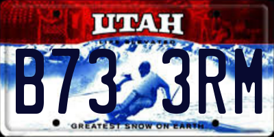 UT license plate B733RM