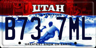 UT license plate B737ML