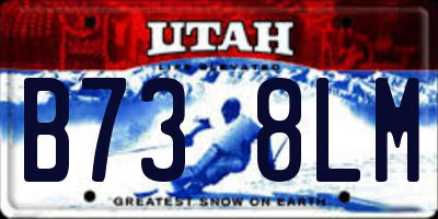 UT license plate B738LM