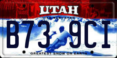 UT license plate B739CI
