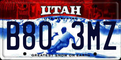 UT license plate B803MZ
