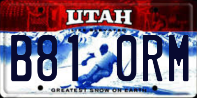 UT license plate B810RM