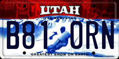UT license plate B810RN