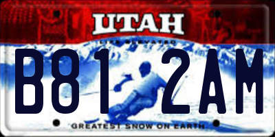 UT license plate B812AM