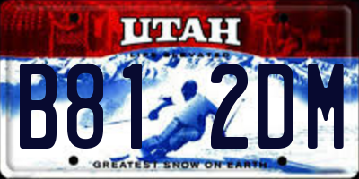 UT license plate B812DM