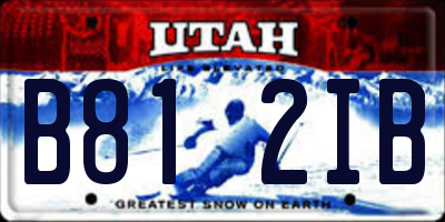 UT license plate B812IB