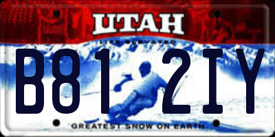 UT license plate B812IY