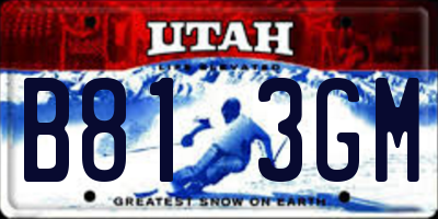 UT license plate B813GM