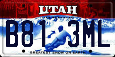 UT license plate B813ML