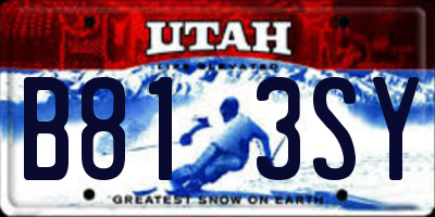 UT license plate B813SY