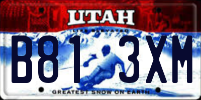 UT license plate B813XM