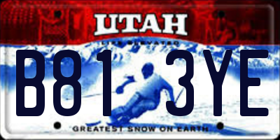 UT license plate B813YE