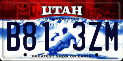 UT license plate B813ZM