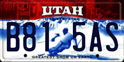 UT license plate B815AS
