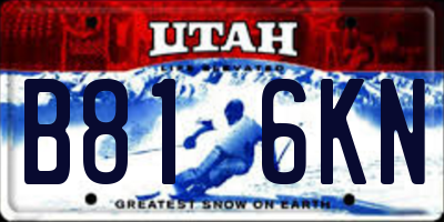 UT license plate B816KN