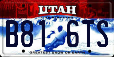 UT license plate B816TS