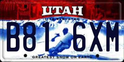 UT license plate B816XM