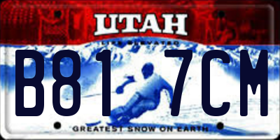 UT license plate B817CM
