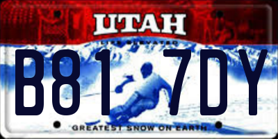 UT license plate B817DY