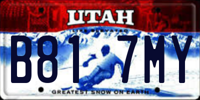 UT license plate B817MY
