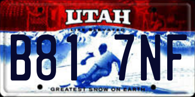 UT license plate B817NF