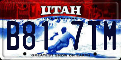 UT license plate B817TM