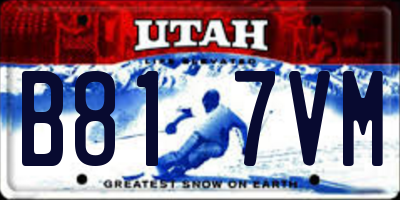 UT license plate B817VM