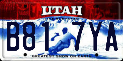 UT license plate B817YA
