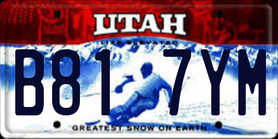 UT license plate B817YM