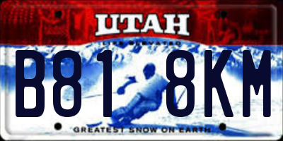 UT license plate B818KM