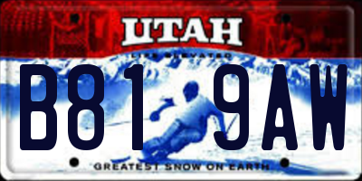 UT license plate B819AW